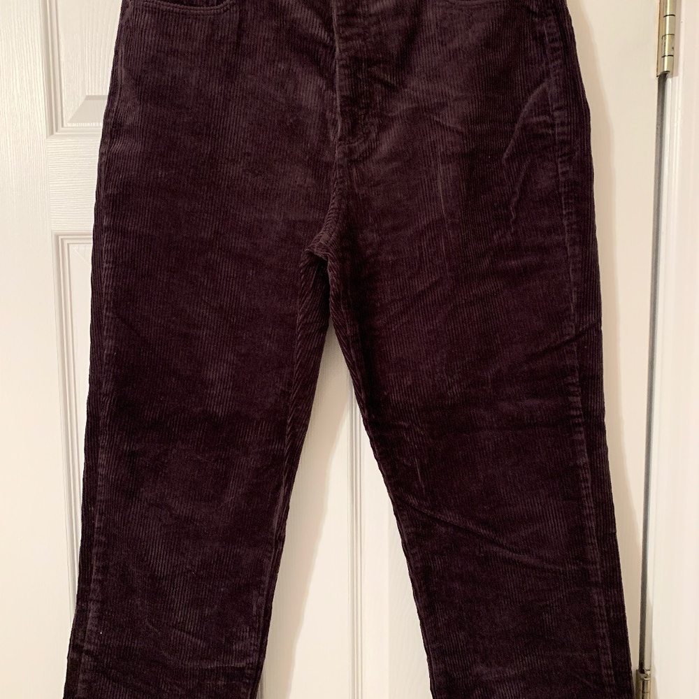 Loft Corduroy Pants
